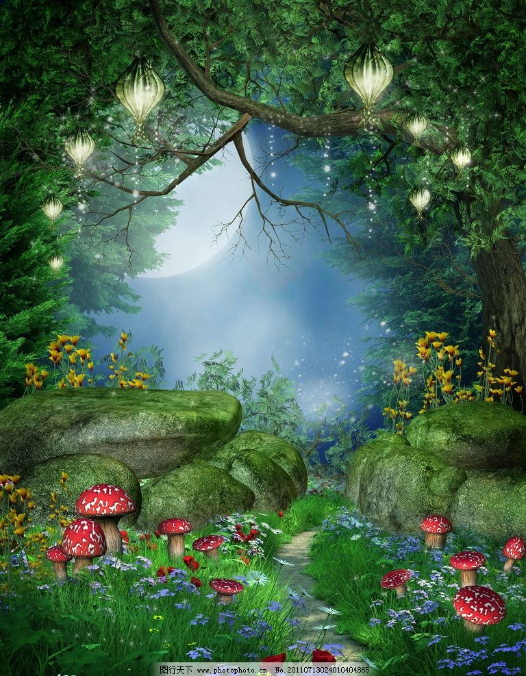 梦幻森林图片_自然风光_自然景观_图行天下图库