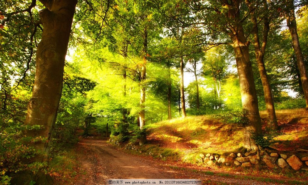 沂蒙山,金秋,临沂 临沂市 秋 秋天 秋景 秋季 沂蒙 山_风景520