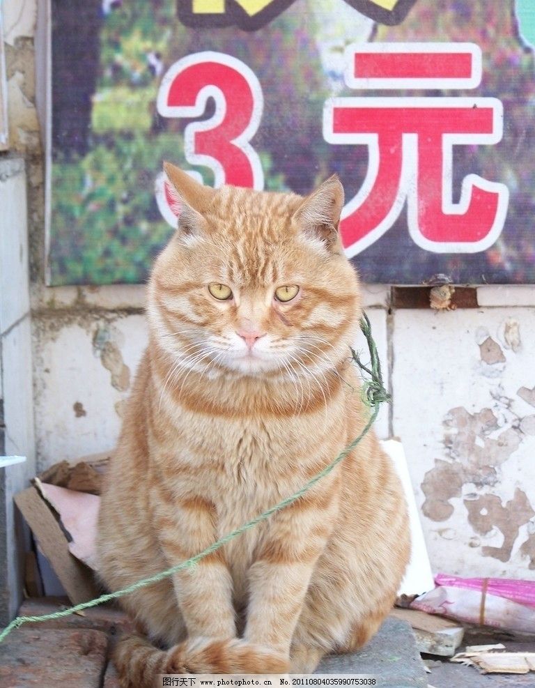 橡皮泥手工制作火爆辣椒