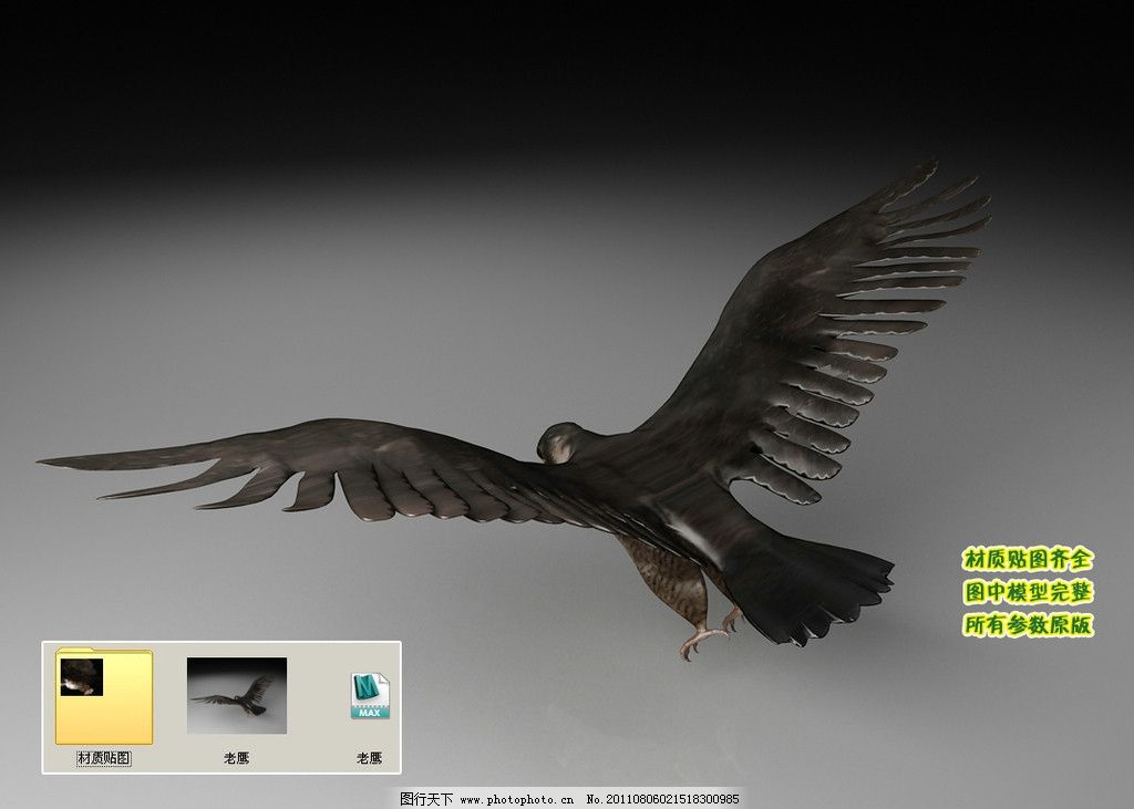 老鹰黑鹰雄鹰3D三维模型建模 老鹰 黑鹰 雄鹰 动物 飞行类 生物 飞禽 3D模型 三维模型 三维建模 3D建模 动物模型 生物模型 动物类飞行类3D三维模型与渲染效果图 其他模型 3D设计模型 源文件 MAX