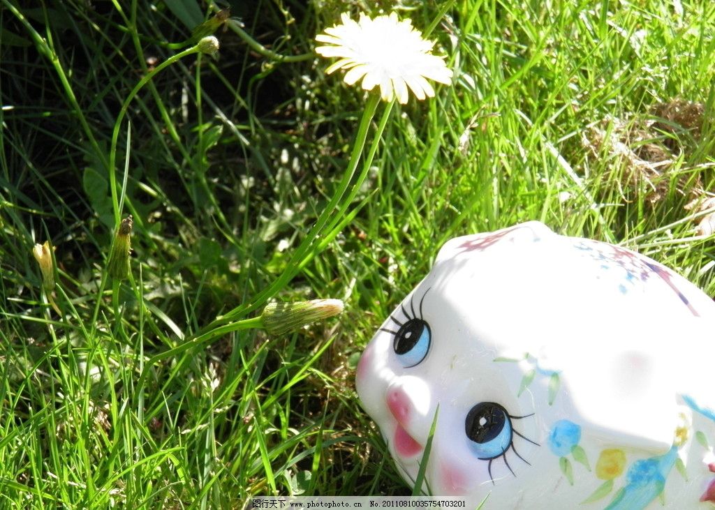 小瓷猪和蒲公英花朵图片,存钱罐 草地 绿色草堆