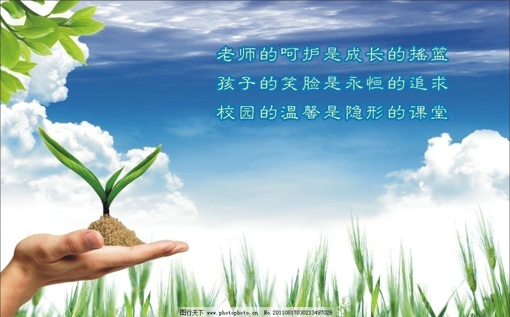 学校版面 树叶 手 麦芽 蓝天白云 手捧小苗 瓢虫等 展板模板图片
