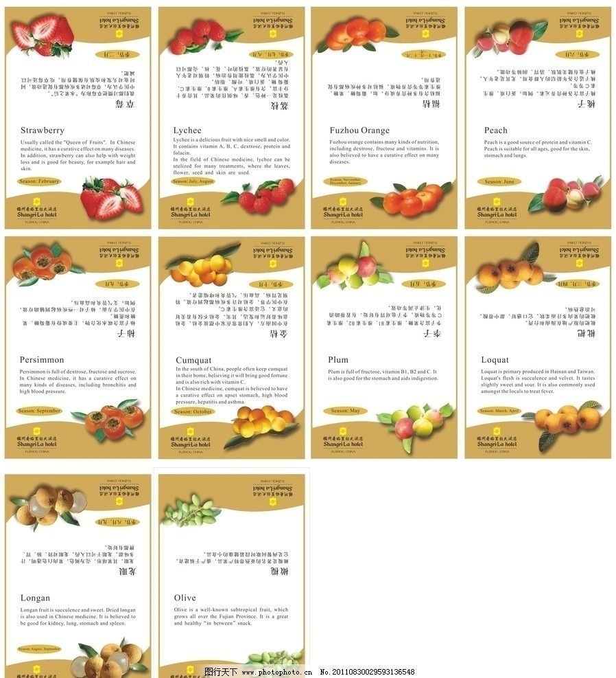 季节水果宣传卡图片,草莓 荔枝 福橘 桃子 柿子