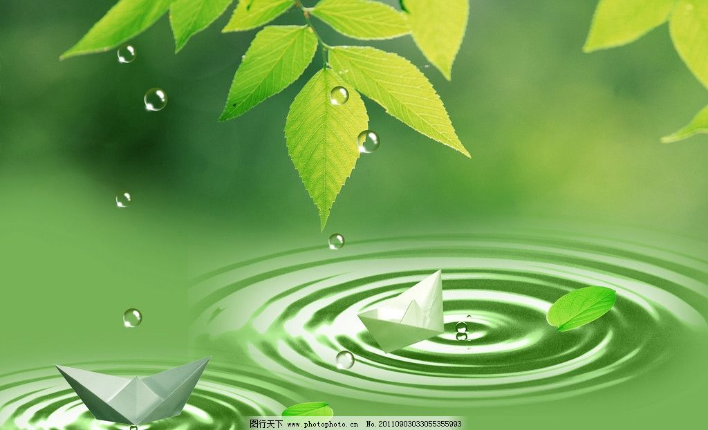 绿叶水滴 叶子 图案 大自然 招手 挥手 掉下 树叶 植物 植物的叶子图片