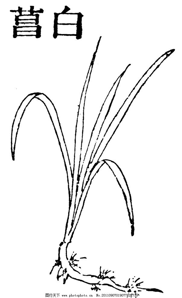 简笔画 手绘 线稿 603_987 竖版 竖屏