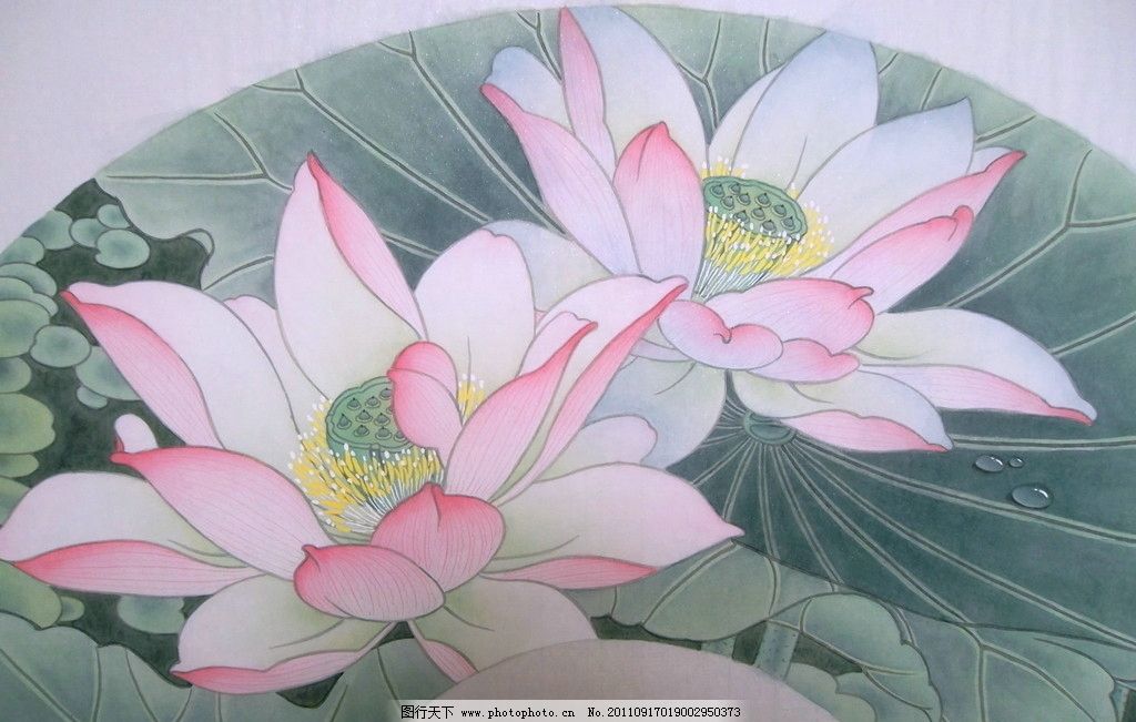 荷花 国画 工笔 工笔画 工笔荷花 国画荷花 绘画书法 文化艺术 设计